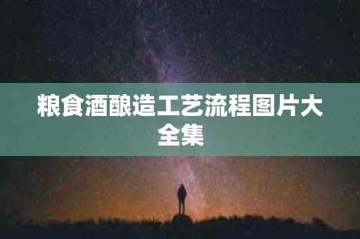 粮食酒酿造工艺流程图片大全集