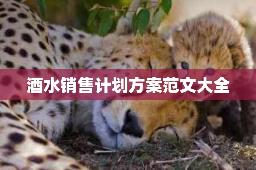 酒水销售计划方案范文大全
