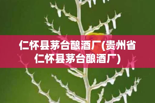 仁怀县茅台酿酒厂(贵州省仁怀县茅台酿酒厂)