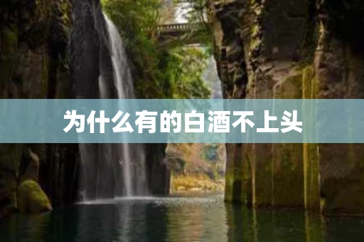 为什么有的白酒不上头