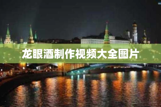 龙眼酒制作视频大全图片