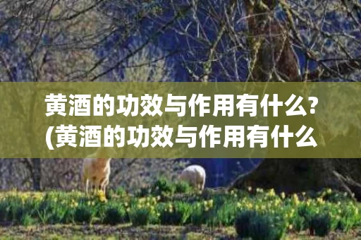 黄酒的功效与作用有什么?(黄酒的功效与作用有什么好处)