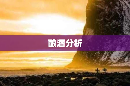 酿酒分析