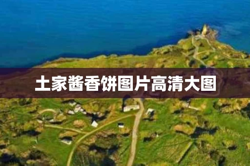 土家酱香饼图片高清大图