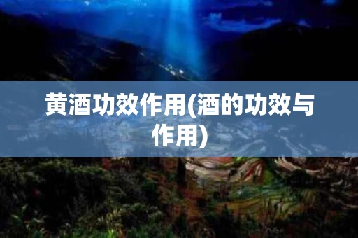 黄酒功效作用(酒的功效与作用)