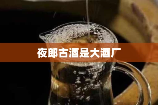 夜郎古酒是大酒厂
