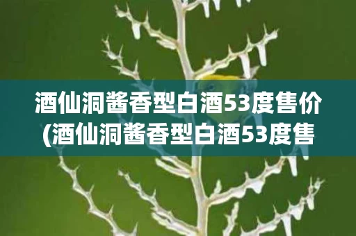 酒仙洞酱香型白酒53度售价(酒仙洞酱香型白酒53度售价多少钱)