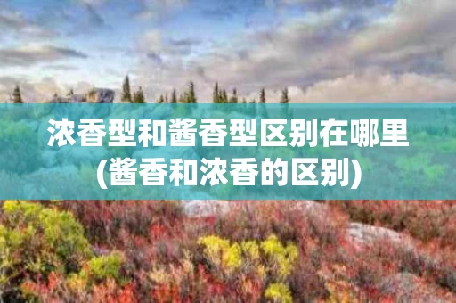 浓香型和酱香型区别在哪里(酱香和浓香的区别)