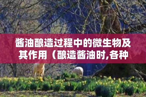 酱油酿造过程中的微生物及其作用（酿造酱油时,各种微生物分别参与了什么生物化学变化）
