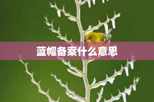 蓝帽备案什么意思