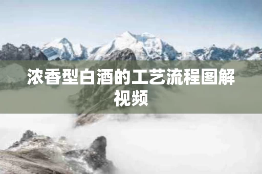 浓香型白酒的工艺流程图解视频