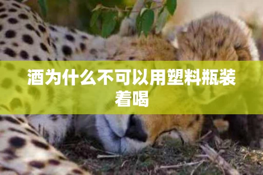 酒为什么不可以用塑料瓶装着喝