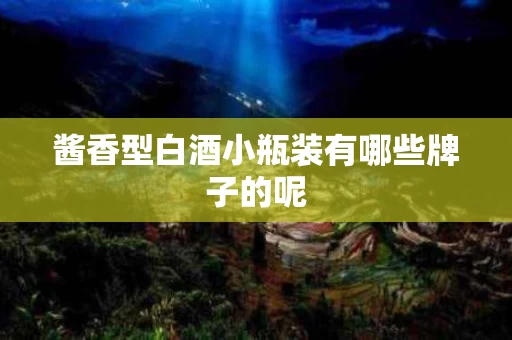 酱香型白酒小瓶装有哪些牌子的呢