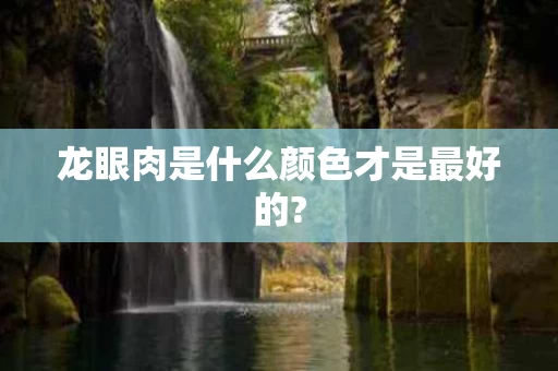 龙眼肉是什么颜色才是最好的? 龙眼肉是什么颜色才是最好的?