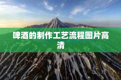 啤酒的制作工艺流程图片高清