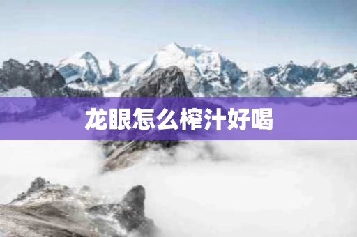 龙眼怎么榨汁好喝