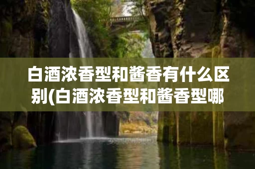 白酒浓香型和酱香有什么区别(白酒浓香型和酱香型哪个比较好)