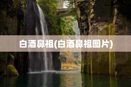 白酒鼻祖(白酒鼻祖图片)