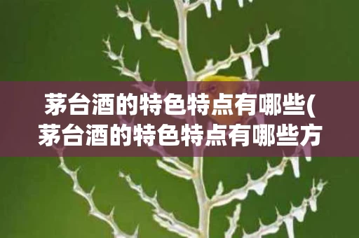 茅台酒的特色特点有哪些(茅台酒的特色特点有哪些方面)