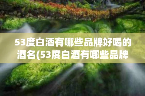 53度白酒有哪些品牌好喝的酒名(53度白酒有哪些品牌好喝的酒名称)