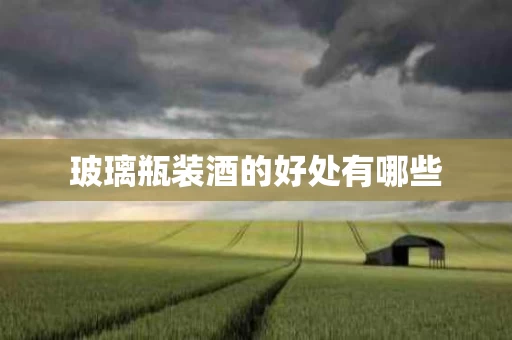 玻璃瓶装酒的好处有哪些