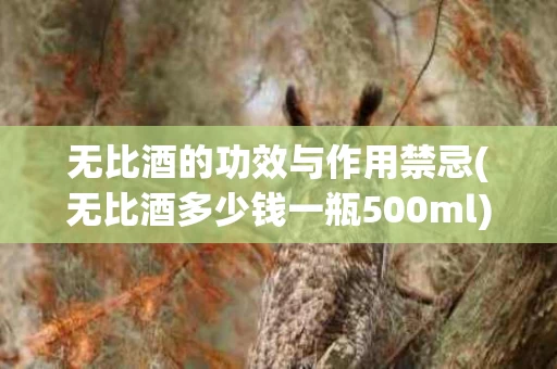无比酒的功效与作用禁忌(无比酒多少钱一瓶500ml)