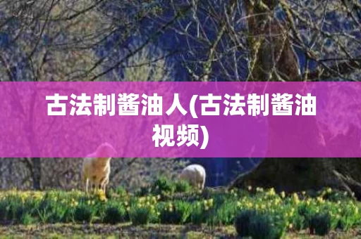 古法制酱油人(古法制酱油视频)