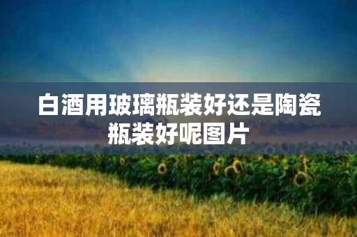 白酒用玻璃瓶装好还是陶瓷瓶装好呢图片