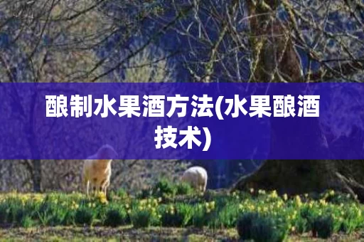 酿制水果酒方法(水果酿酒技术)