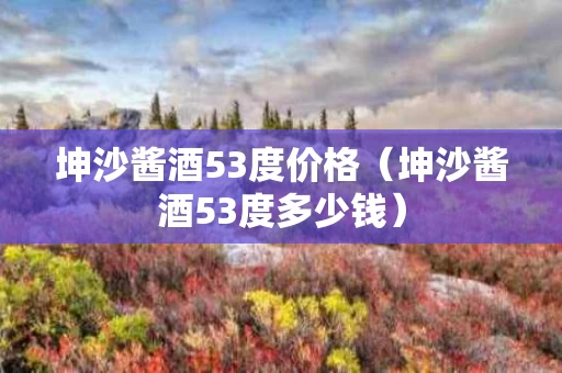坤沙酱酒53度价格（坤沙酱酒53度多少钱）