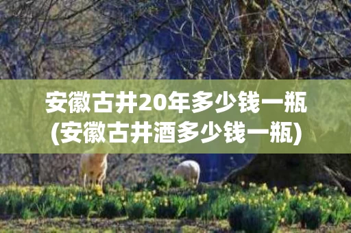 安徽古井20年多少钱一瓶(安徽古井酒多少钱一瓶)