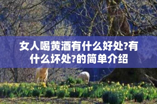 女人喝黄酒有什么好处?有什么坏处?的简单介绍