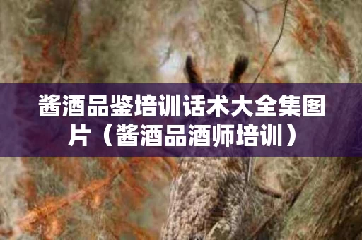 酱酒品鉴培训话术大全集图片（酱酒品酒师培训）
