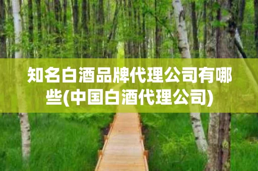 知名白酒品牌代理公司有哪些(中国白酒代理公司)