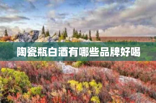 陶瓷瓶白酒有哪些品牌好喝