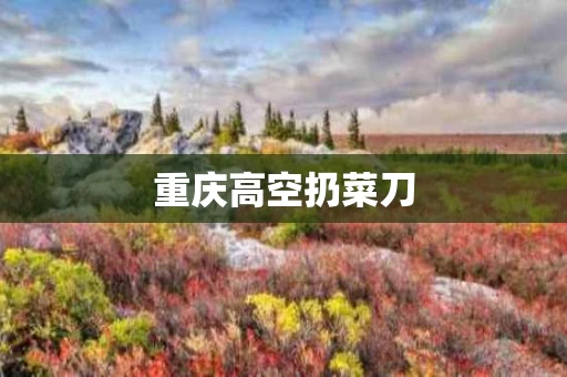 重庆高空扔菜刀