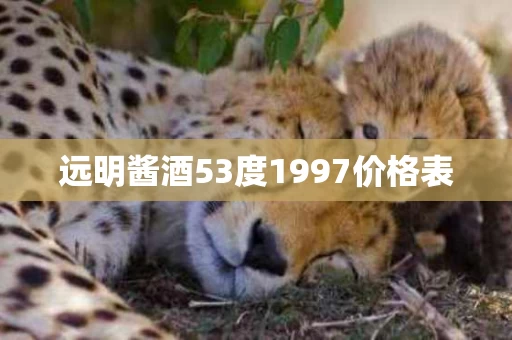 远明酱酒53度1997价格表