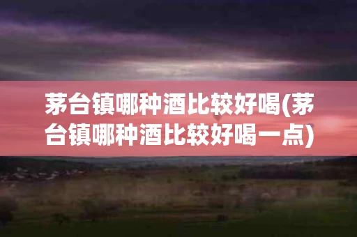 茅台镇哪种酒比较好喝(茅台镇哪种酒比较好喝一点)