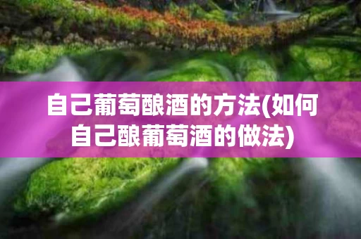 自己葡萄酿酒的方法(如何自己酿葡萄酒的做法)