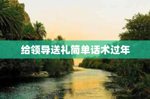 给领导送礼简单话术过年