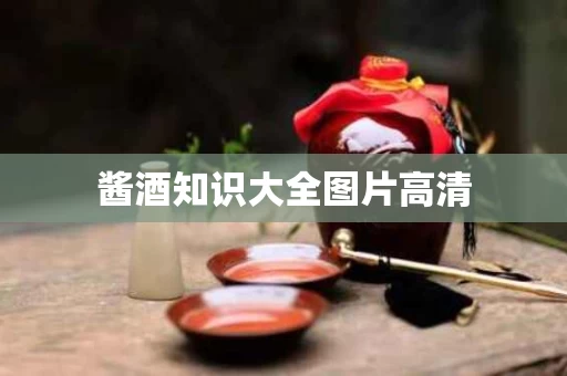 酱酒知识大全图片高清