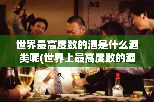 世界最高度数的酒是什么酒类呢(世界上最高度数的酒排名)