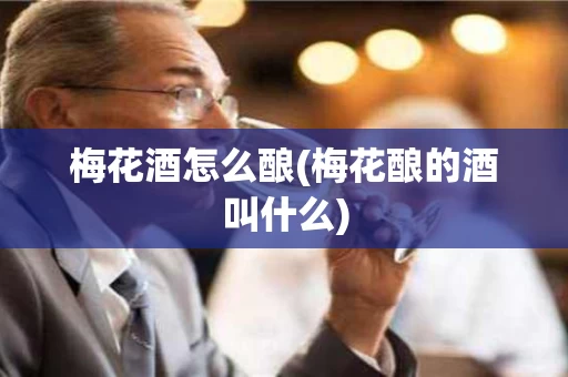 梅花酒怎么酿(梅花酿的酒叫什么)