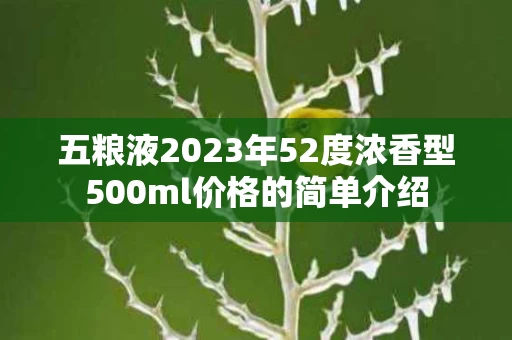 五粮液2023年52度浓香型500ml价格的简单介绍