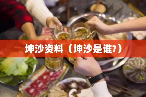 坤沙资料（坤沙是谁?）