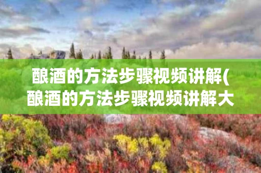 酿酒的方法步骤视频讲解(酿酒的方法步骤视频讲解大全)