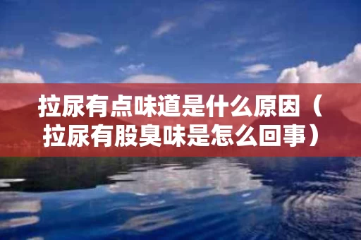 拉尿有点味道是什么原因（拉尿有股臭味是怎么回事）