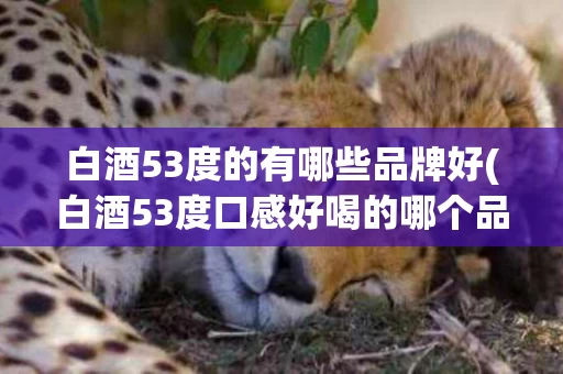 白酒53度的有哪些品牌好(白酒53度口感好喝的哪个品牌?)