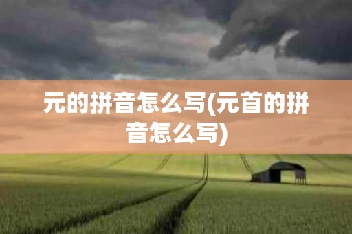 元的拼音怎么写(元首的拼音怎么写)
