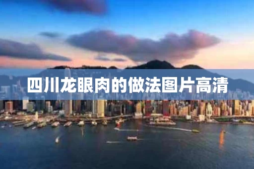 四川龙眼肉的做法图片高清